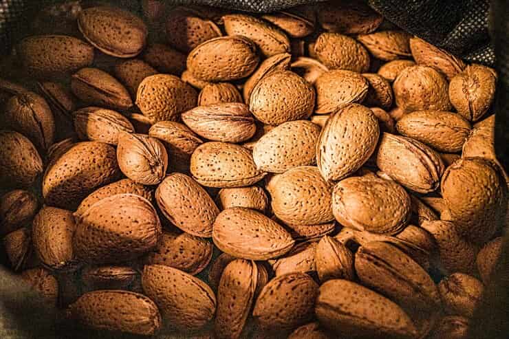 تصویر 3 از قیمت خرید بادام درختی کاغذی با فروش عمده